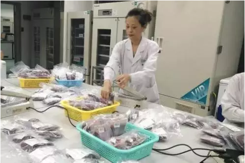 成都市血液中心全力做好8.8九寨沟地震血液应急救援工作 成都市血液中心全力做好8.8九寨沟地震血液应急救援工作